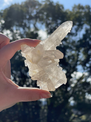 Clear Quartz Cluster